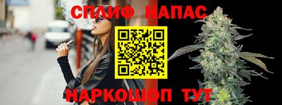 сатива Кимры