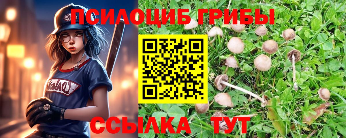 Галлюциногенные грибы Cubensis Маркс